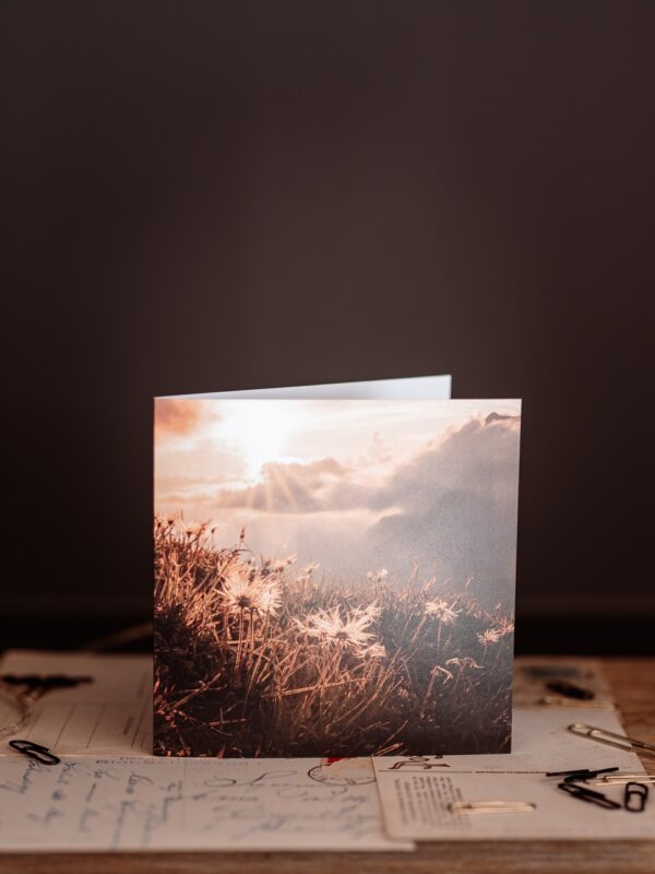 Sonnenuntergangsstimmung am Klausenpass – Bild 2