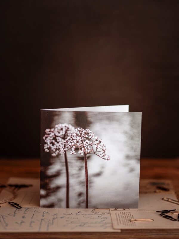 "stille Eleganz" – Bild 2