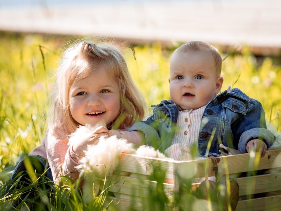 Zwei kleine Kinder sitzen in einer Holzkiste in der Blumenwiese